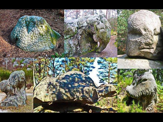 Fossilized unidentified creatures in France
