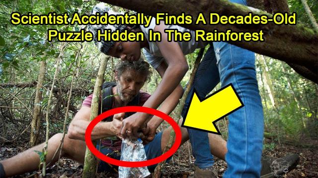 Scientist Accidentally Finds A Decades-Old Puzzle Hidden In The Rainforest