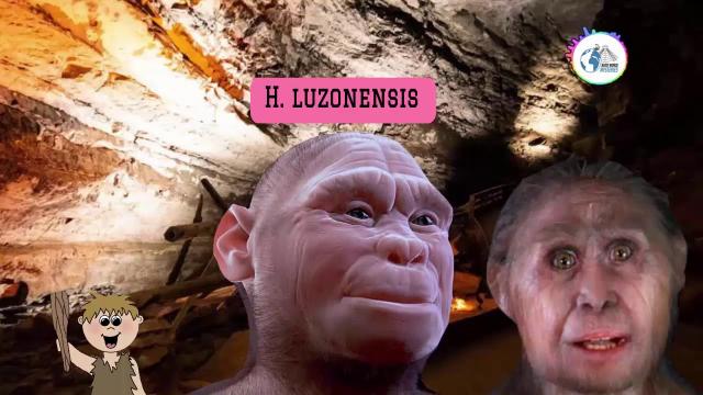 Researchers Discover Early Human Species Smaller Than the 'Hobbit'