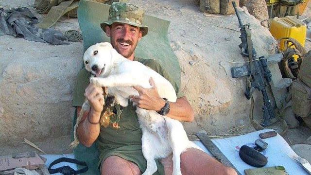 Marine And Stray Dog From Afghanistan Change Each Other’s Lives