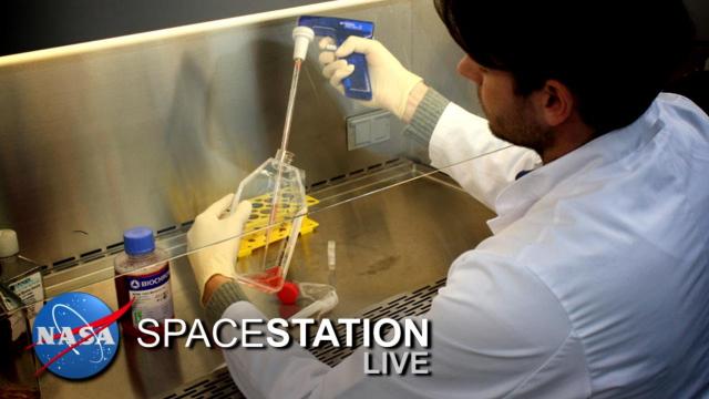 Space Station Live: Fighting Cancer in Space