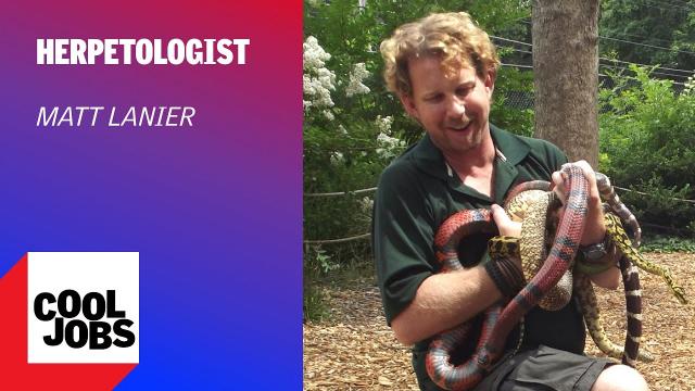 Cool Jobs: Venomous Reptile Conservationist