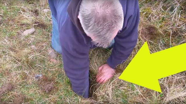 When He Heard Cries From A Crack In The Ground, This Man Reached In And Found This  Creature
