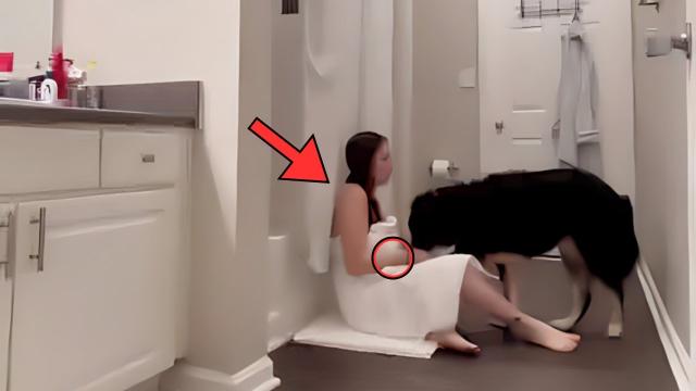 Wife Keeps Locking Herself In Bathroom With Dog Until Husband Notices Mark On Leg