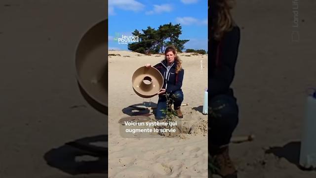 Des cocons pour aider les jeunes pousses à s’exprimer dans les régions difficiles !