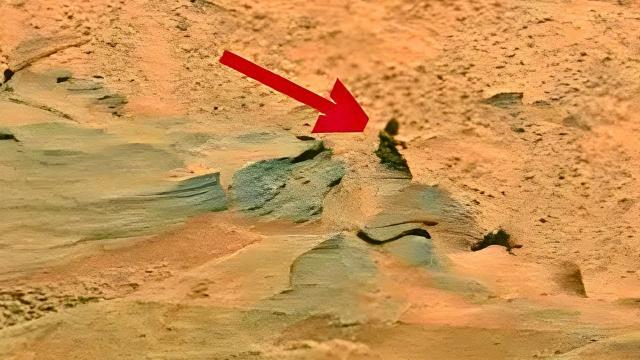 Mystery on Mars: an Astonishing Discovery Troubles Scientists - There May Be Life on Mars !