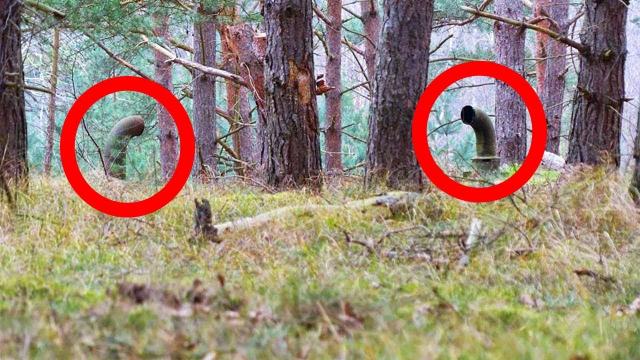 Two Guys Noticed These Pipes Sticking Out Of The Ground. They Never Expected This To Be Underneath