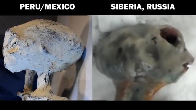 The bodies presented in the UAP hearings in Mexico are similar to the body found in Siberia