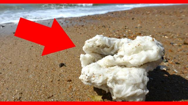 These Strange Objects That Are Washing Up On Beaches Should Be Avoided At All Costs