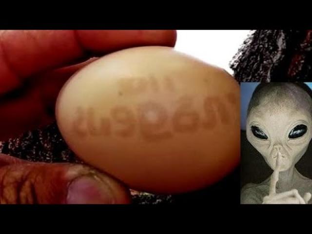 Mystery as chicken lays egg with numbers and symbols depicted on shell