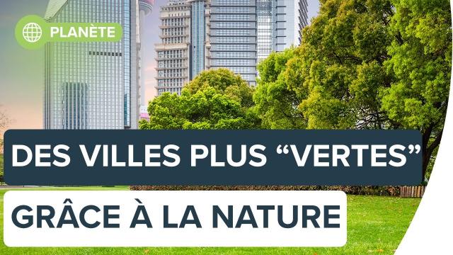 Réduire l'impact environnemental des villes grâce à la nature | Futura