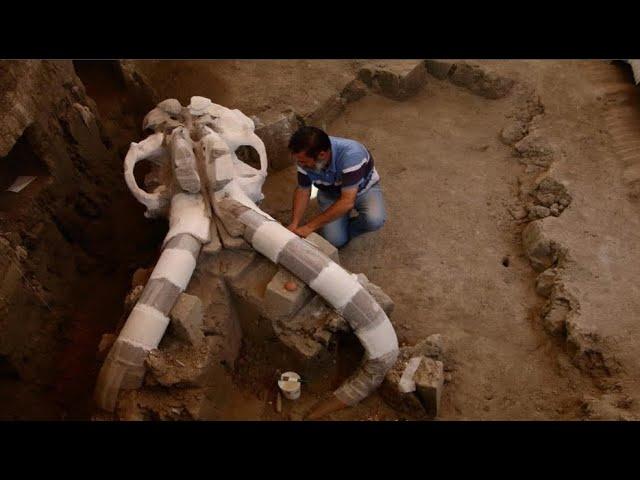 New Ancient Discovery In Mexico May 2020