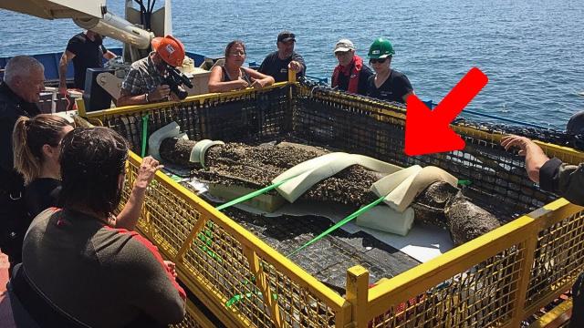 A Mini Sub Uncovered A Mysterious Object From Lake Ontario , Scientist Shocked By it's True Nature