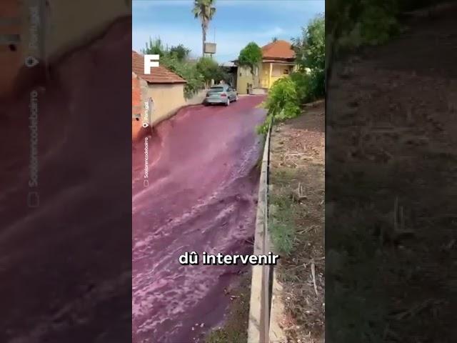 Un torrent de vin inonde un petit village du Portugal ! ????????????