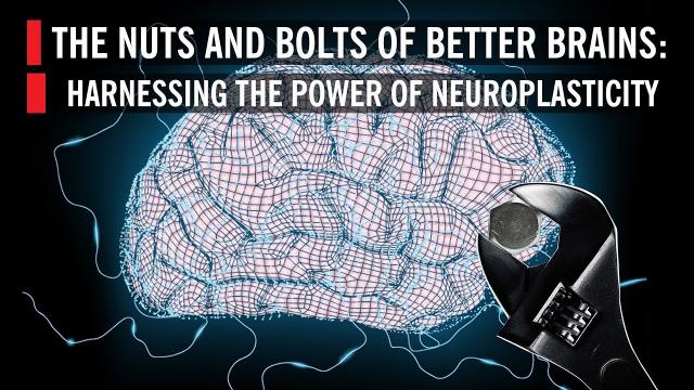 Harnessing the Power of Neuroplasticity: The Nuts and Bolts of Better Brains