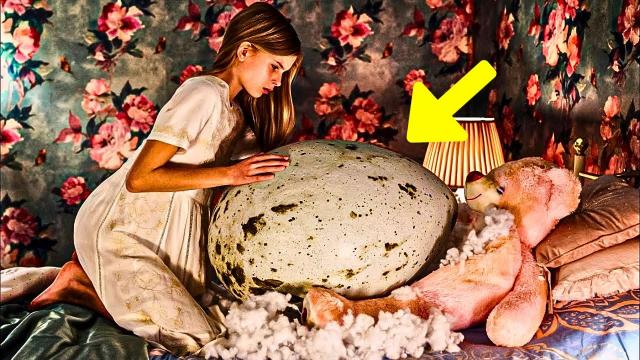 Girl Finds Strange Eggs Under Her Bed - When Expert Sees It, He Turns Pale !