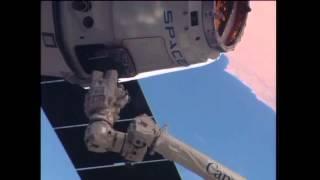 The Easter Dragon Visits Space Station | Video