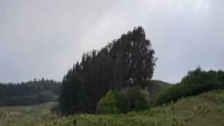 UFO Sightings Flying Saucer or Military Aircraft? Jan 5, 2012  New Zealand Amazing VIDEO!!!