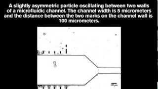 Self-steering particles