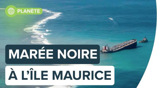 Marée noire : le bateau échoué au large de l'île Maurice s'est brisé en deux | Futura