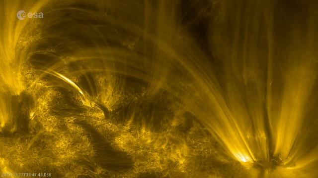 Sun's coronal rain and 'moss' seen in amazing Solar Orbiter close-up