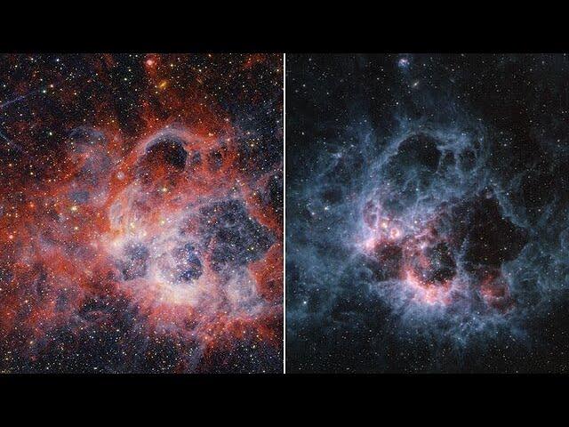 Webb's new vies of NGC 604 (NIRCam and MIRI transition video)
