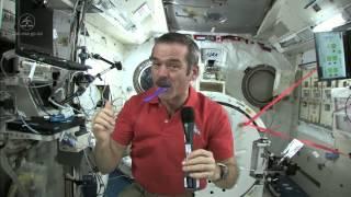 How To Brush Your Teeth In Space | Video