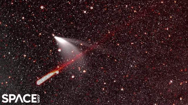 Comet NEOWISE seen by several spacecraft