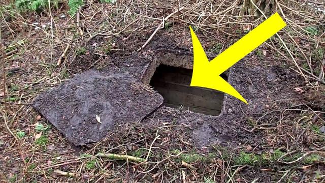This Guy Was Trekking Through The Woods When He Stumbled Upon A Secret Trapdoor In The Ground