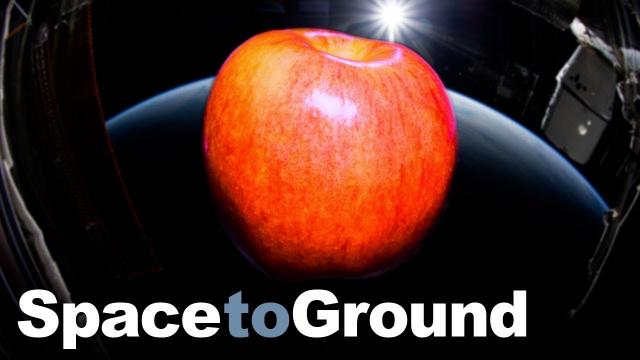 Space to Ground: Healthy Eating: 07/09/2021