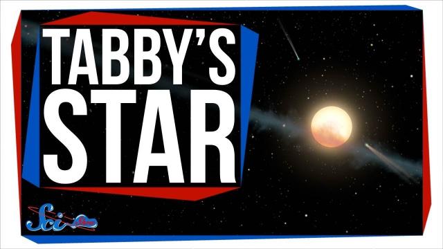 A New Idea About Tabby's Star!