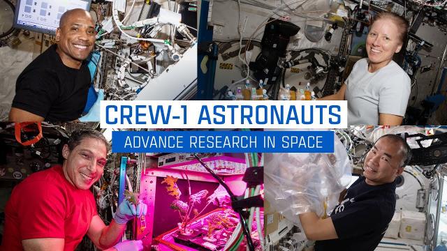 Crew-1 Astronauts Advance Research in Space