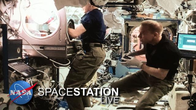 Space Station Live: Rodent Research Flies Again