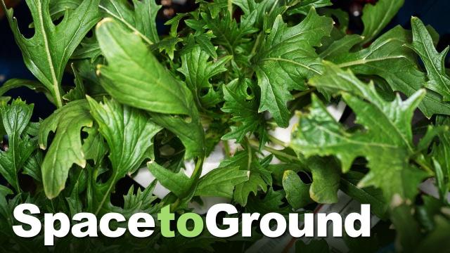 Space to Ground: Farm-to-Table: 07/12/2019