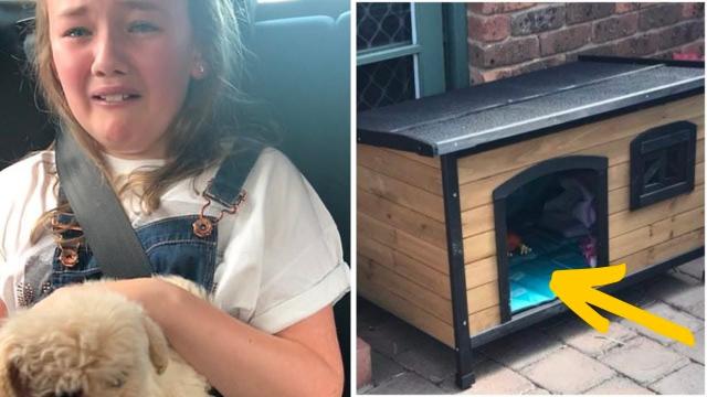 After Thieves Stole A Little Girl’s Puppy The Family Found Something Moving Next To A Ken