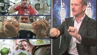 Why Chris Hadfield Made 'How-To' Videos In Space | SPACE.com Interview