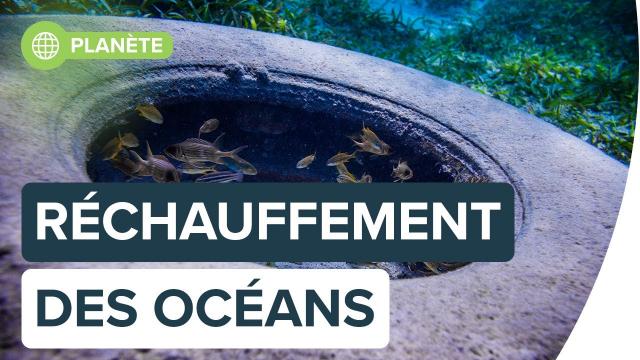 Doit-on s'inquiéter du réchauffement des océans ? | Futura