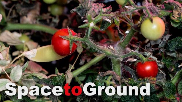 Space to Ground: New Year, New Food: 01/06/2023