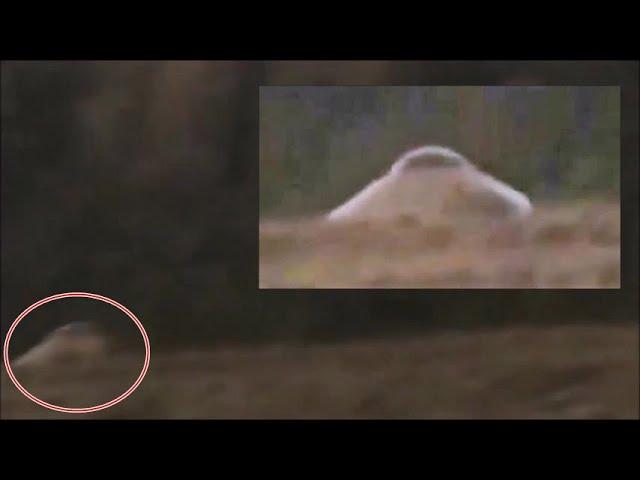 Extraordinary footage of a UFO landed in New Hartford
