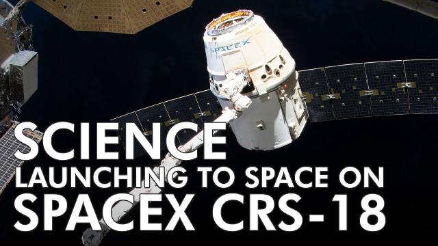 Highlights of Science Launching on SpaceX CRS 18 - July 8, 2019