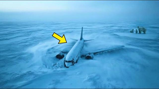 Scientists Found A Plane Buried In Arctic Ice. What They Discovered Inside Shocked Them To The Core