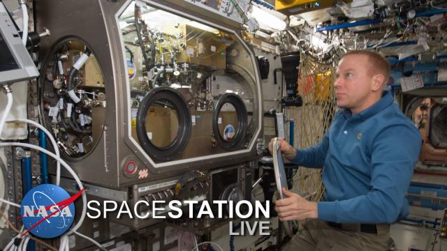 Space Station Live: Expedition 47 Science Update