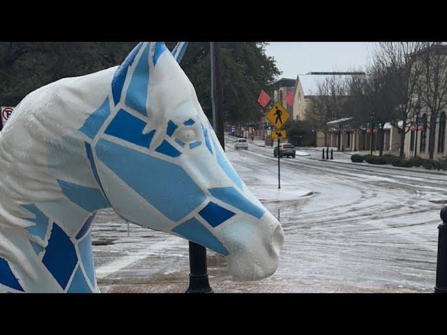 ICEMAGEDDON DAY 2 DFW