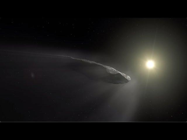 Interstellar objects 'Oumuamua and Borisov studied by European observatories