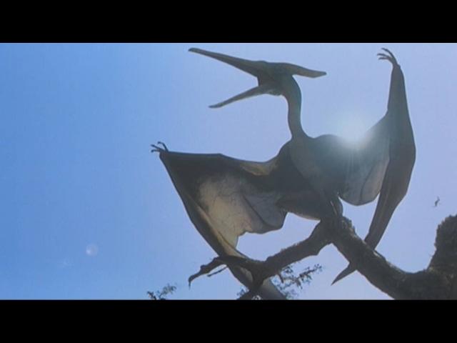 'Pterodactyl' seen in sky over Alaska