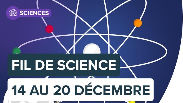 Fil de Science : résumé de la semaine en podcast | Futura