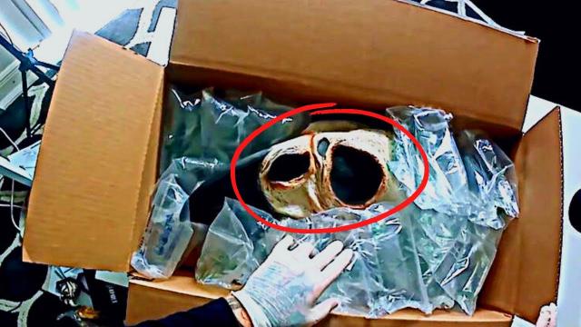 Man Vanishes, Neighbor Opens His Package Because He Knows Something's Off