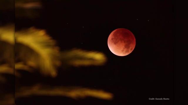 Lunar eclipse, moon, planets and Leonid meteors in Nov. 2022 skywatching