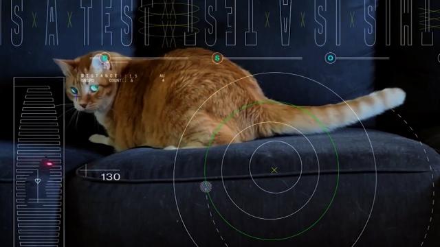Pew pew! NASA beams cat video 19 million miles through space using a laser