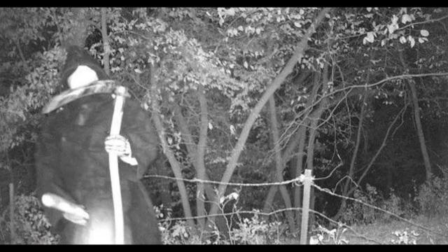 Real Creepy and unexplainable Trail cam photos